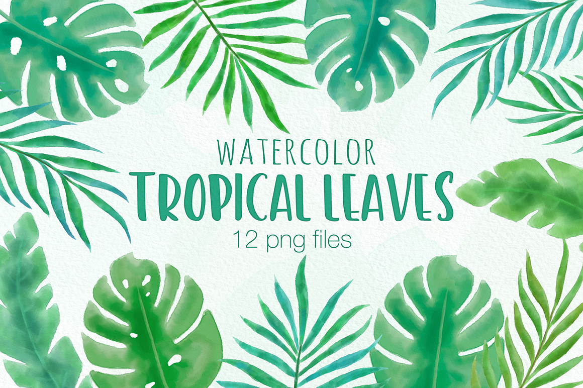 1160x772 Tropical Leaf Watercolor Illustrations - Tropical Leaves Watercolor