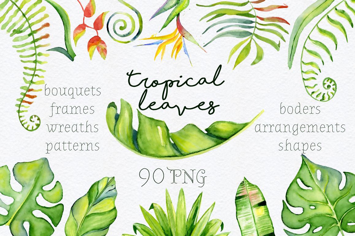 1158x772 Tropical Leaves Watercolor Clipart - Tropical Leaves Watercolor