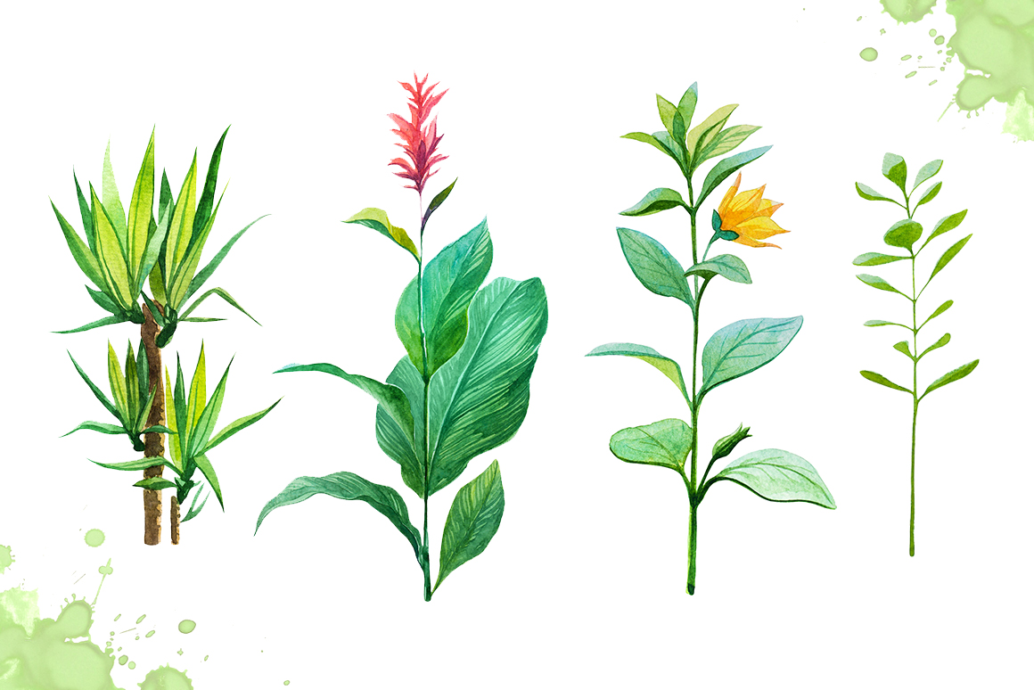 1160x774 Watercolor Tropical Leaves Set 2 - Tropical Leaves Watercolor