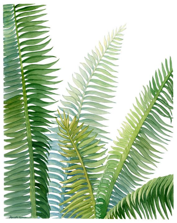 570x717 Palm Leaf Print - Tropical Leaves Watercolor