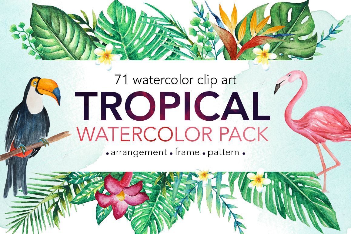 1158x772 Tropical Watercolor Clip Art Pack - Tropical Watercolor