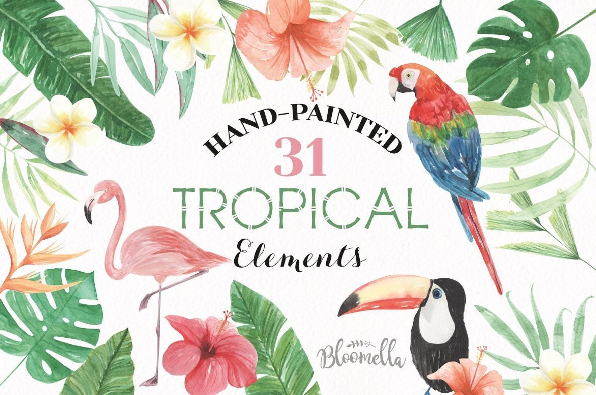 1184x786 Tropical Elements Watercolor Package - Tropical Watercolor