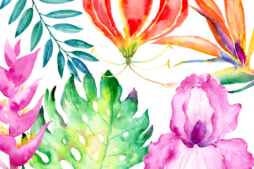 864x576 Watercolor Clipart Tropical Collection By Cornercroft - Tropical Watercolor