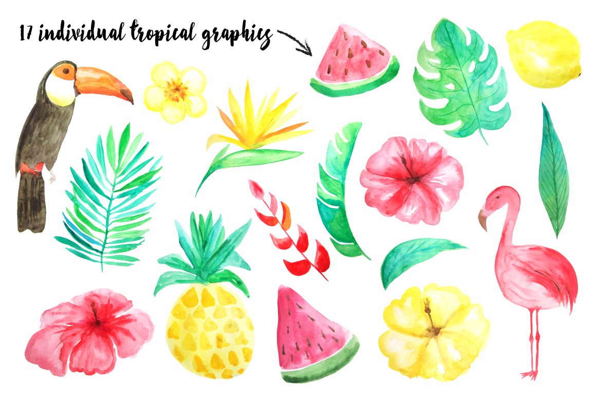 1160x772 Watercolor Tropical Bundle By Larysa Zabrotskaya - Tropical Watercolor
