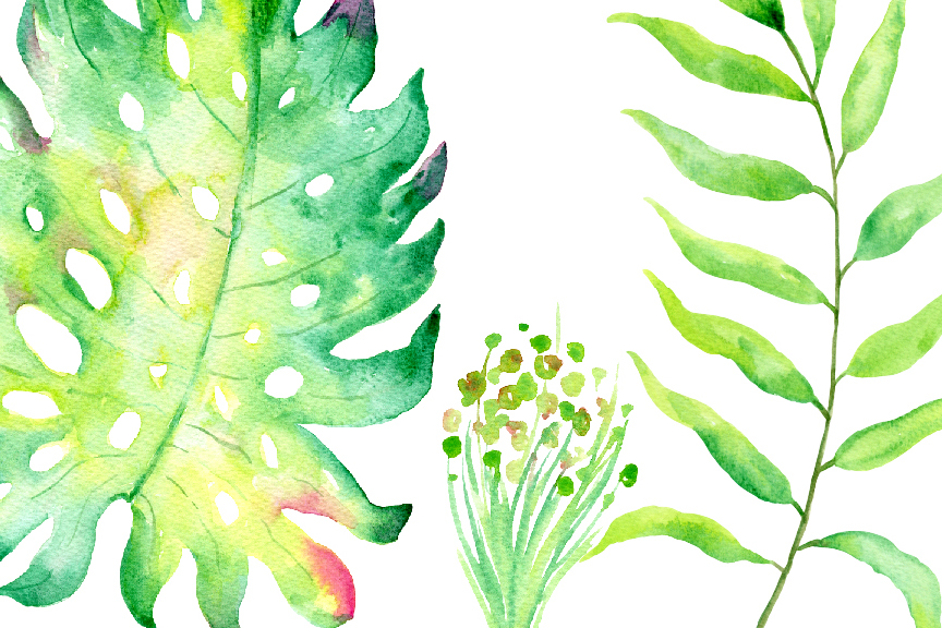 864x576 Watercolor Tropical Leaves By Cornercroft - Tropical Watercolor