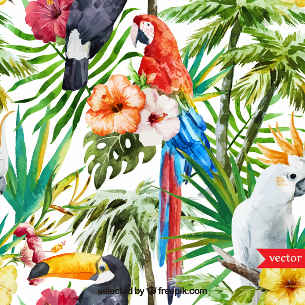 626x626 Watercolor Tropical Background Vector Free Download - Tropical Watercolor