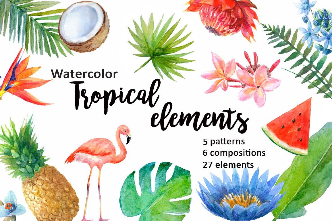 1156x771 Watercolor Tropical Elements. - Tropical Watercolor