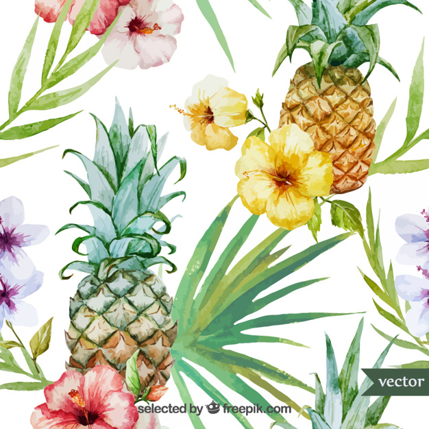 626x626 Watercolor Tropical Fruit And Plants Vector Free Download - Tropical Watercolor