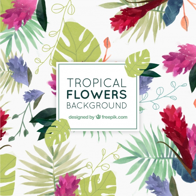 626x626 Download Vector - Tropical Watercolor Flowers