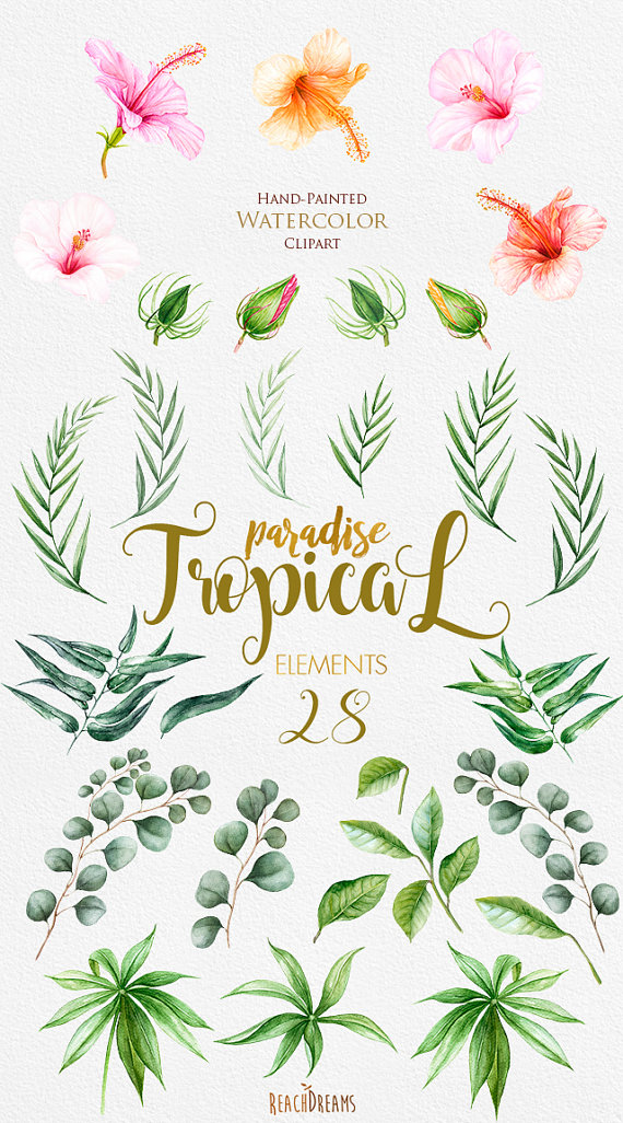 570x1026 Tropic Clipart, Tropical Watercolor Flowers Amp Leaves, Hibiscus - Tropical Watercolor Flowers