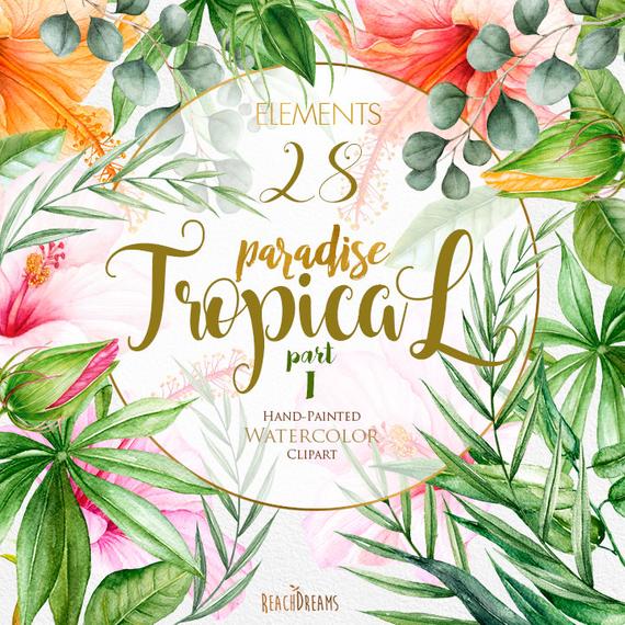 570x570 Tropic Clipart Tropical Watercolor Flowers Amp Leaves Etsy - Tropical Watercolor Flowers
