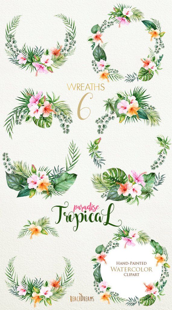 570x1026 Tropical Watercolor Flowers Amp Leaves, Tropic Wreaths Clipart - Tropical Watercolor Flowers