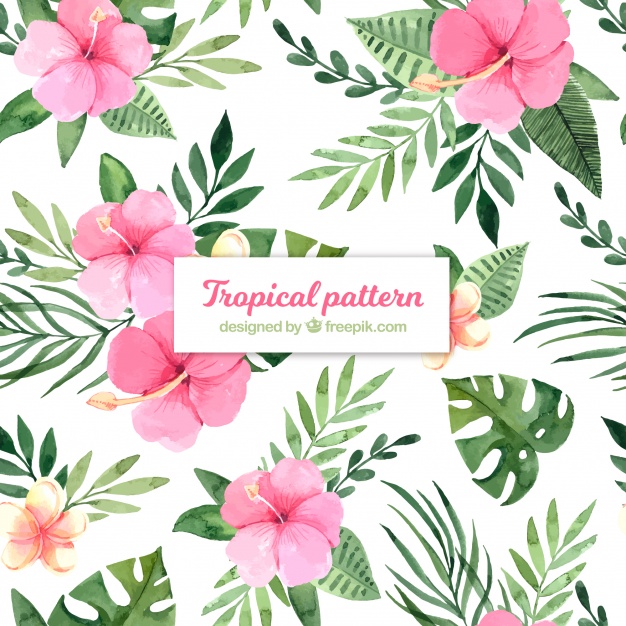 626x626 Tropical Summer Pattern With Watercolor Flowers Vector Free Download - Tropical Watercolor Flowers
