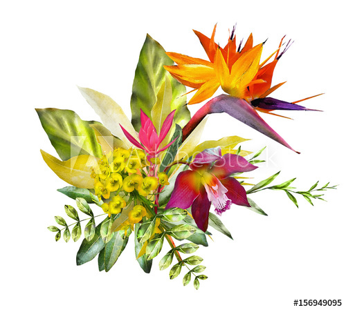500x449 Tropical Watercolor Flowers - Tropical Watercolor Flowers