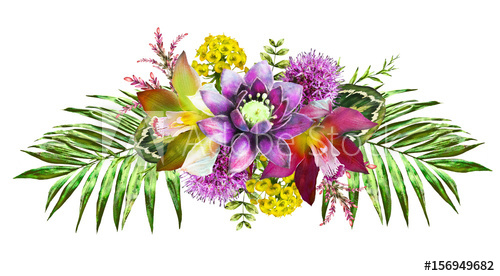 500x276 Tropical Watercolor Flowers. Card With Floral Illustration - Tropical Watercolor Flowers