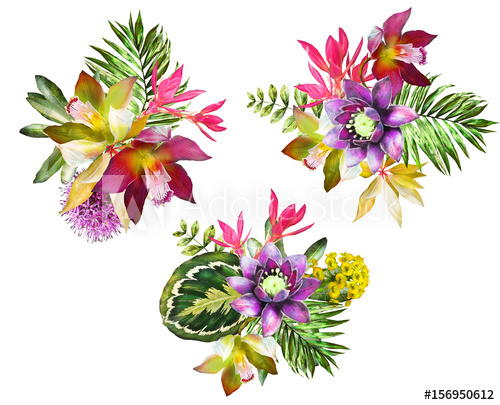 500x405 Set Tropical Watercolor Flowers. Floral Illustration. Collection - Tropical Watercolor Flowers