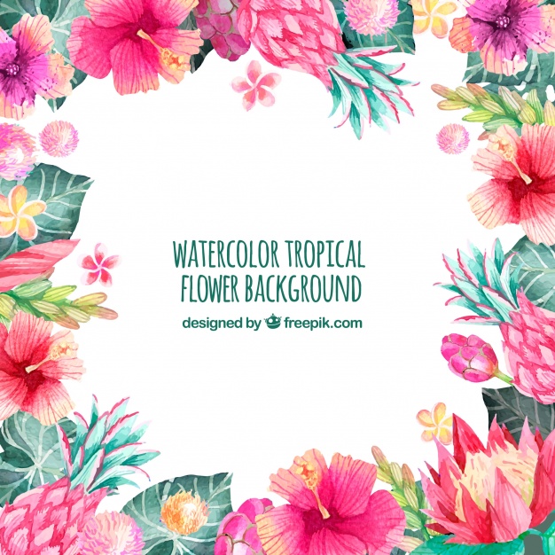 626x626 Background Of Tropical Watercolor Flowers Vector Free Download - Tropical Watercolor Flowers