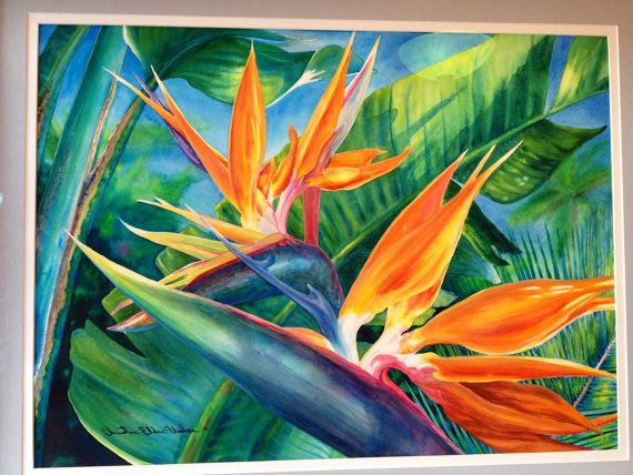 570x428 Original Large Framed Hawaiian Bird Of Paradise Watercolor Art - Tropical Watercolor Paintings