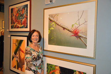 360x239 Tropical Watercolor Painting Accepted Into Prestigious Exhibition - Tropical Watercolor Paintings