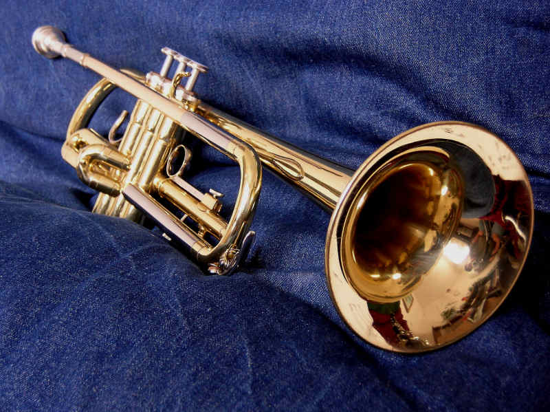 800x599 August 2013 Watercolor Challenge - Trumpet Watercolor