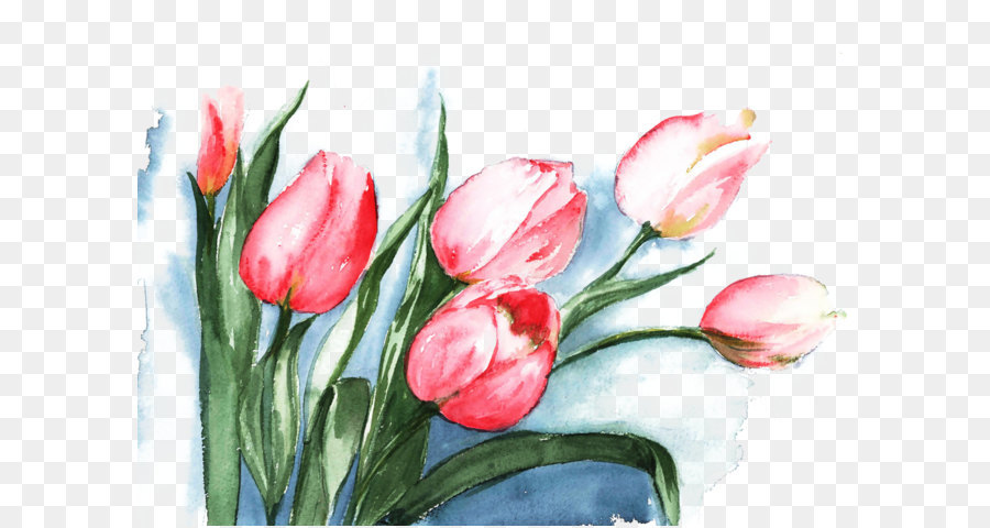 900x480 Tulip Watercolor Painting Flower - Tulip Watercolor