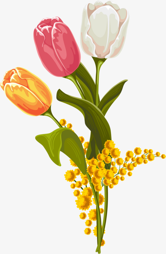 650x990 Vector Tulip Watercolor 4, Watercolor Vector, Vector Flowers - Tulip Watercolor