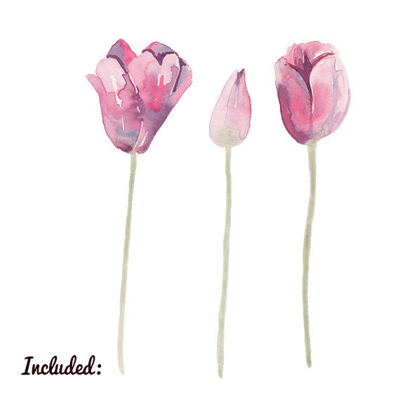 570x570 Watercolor Tulip Flower Clip Art For Scrapbooking Instant Downlo - Tulip Watercolor