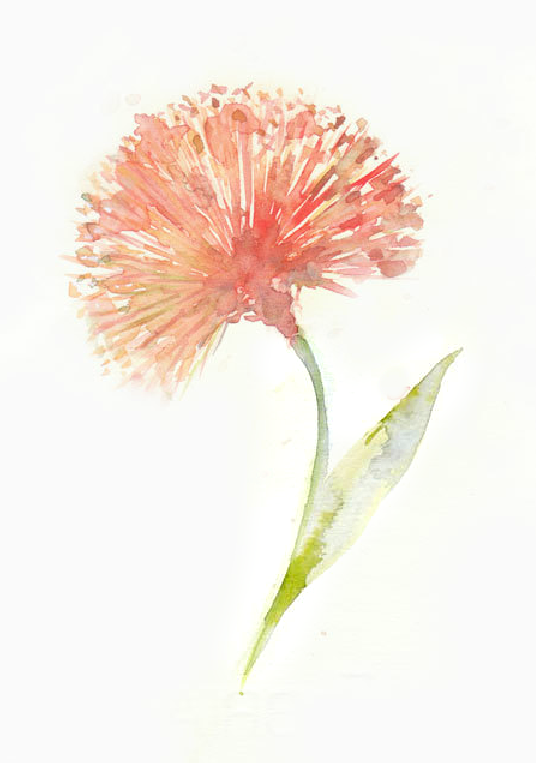 536x763 Pin By Cheryl Doeding On Watercolor In 2018 - Tumblr Watercolor Flowers