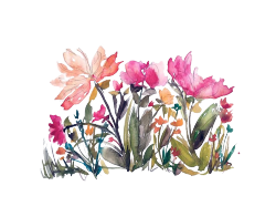 250x196 Transparent Tumblr - Tumblr Watercolor Flowers