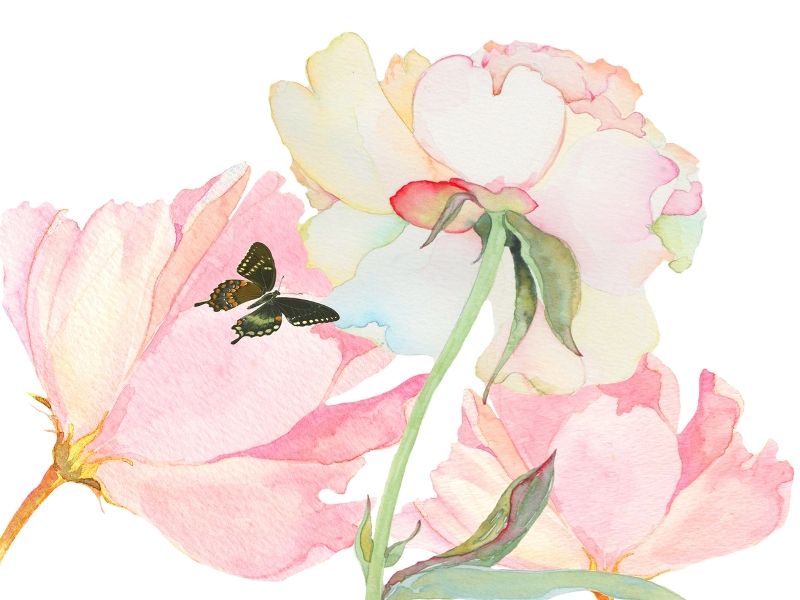 800x600 Watercolor Flowers Deepcoveflowers Tumblr Watercolor Flower - Tumblr Watercolor Flowers