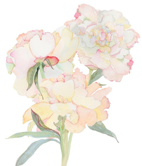 Tumblr Watercolor Flowers At Paintingvalley Com Explore