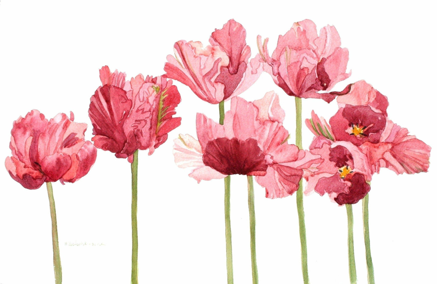 1500x976 Flower Paintings Tumblr Fashion Design Images - Tumblr Watercolor Flowers