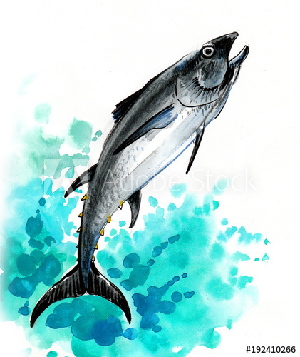 421x500 Watercolor Illustration Of A Jumping Tuna Fish - Tuna Watercolor