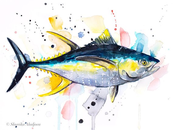 570x428 Yellowfin Tuna Watercolor Painting Print By Slaveika Aladjova Etsy - Tuna Watercolor