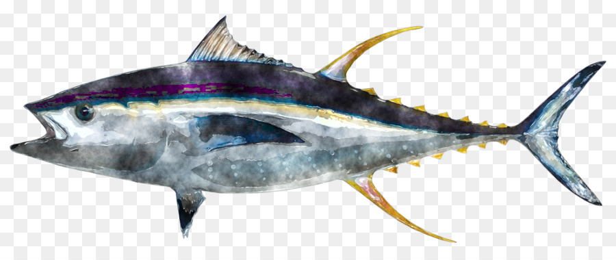 900x380 Download Yellowfin Tuna Food Fishing Clip Art Colorful Leaves - Tuna Watercolor