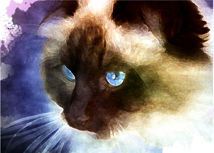 750x537 How To Turn Your Photos Into Painterly Style Watercolor Art - Turn Photo Into Watercolor