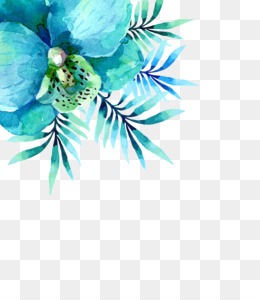 260x300 Turquoise Png Amp Turquoise Transparent Clipart Free Download - Turquoise Watercolor