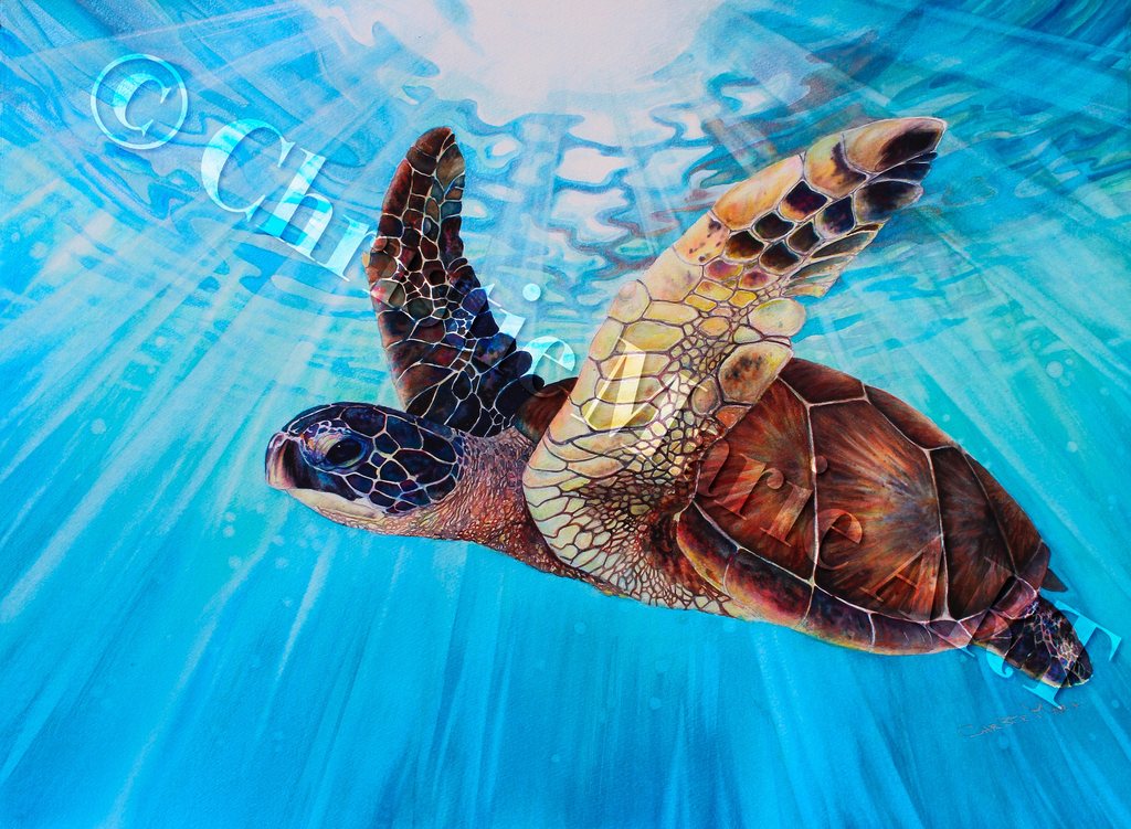 1024x751 Original Hawaiian Sea Turtle Art Watercolor Painting Gemstone - Turtle Watercolor Paintings