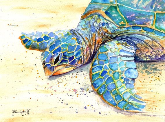 570x422 Original Sea Turtle Watercolor Painting - Turtle Watercolor Paintings