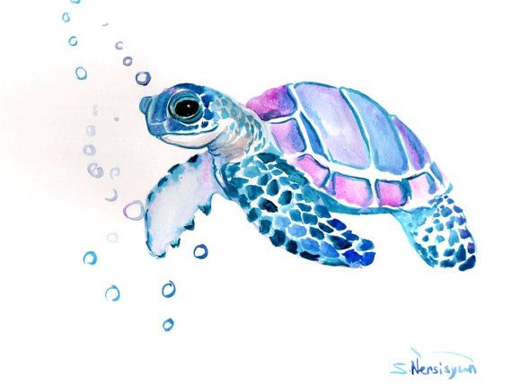 570x428 Sea Turtle, Original Watercolor Painting, 9 X 12 In, Sea Animal - Turtle Watercolor Paintings