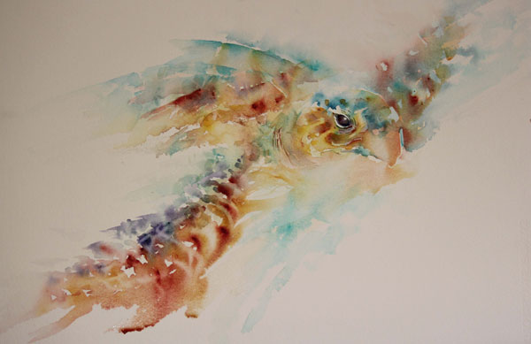 600x389 A Song, A Sea Turtle And A Watercolor Painting - Turtle Watercolor Paintings