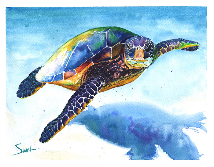 700x548 Sea Turtle Watercolor Print 2 Watercolor Animal Paintings - Turtle Watercolor Paintings