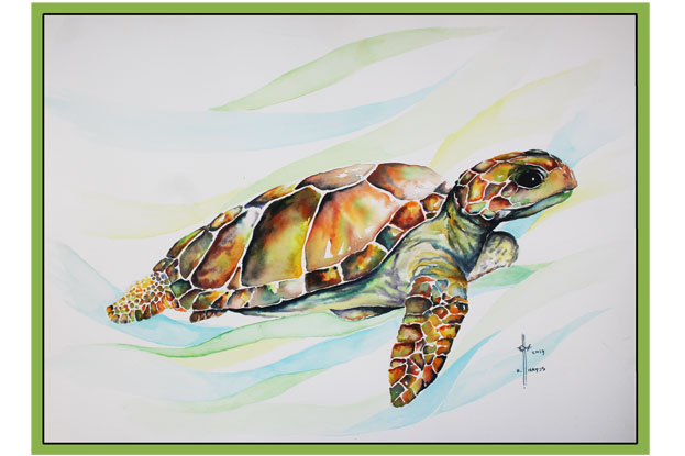 623x415 Sea Turtle Watercolor Art By Ryan - Turtle Watercolor Paintings