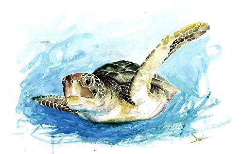 500x317 Green Sea Turtle Watercolor Painting Print Handmade - Turtle Watercolor Paintings