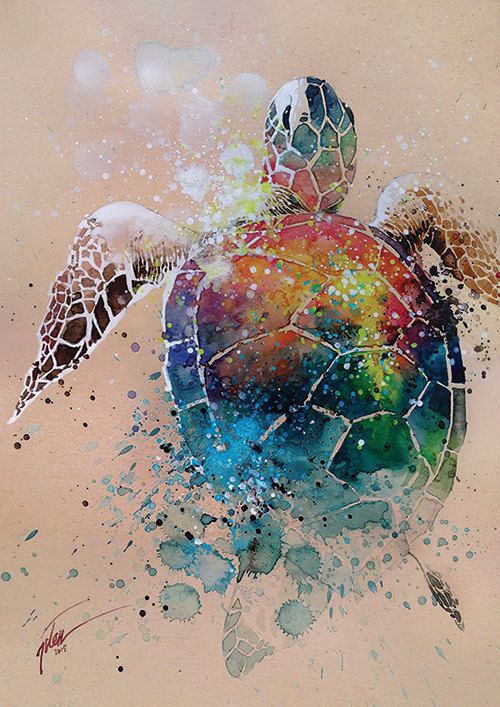 500x707 Turtle Watercolor With Gouache Painting A3 Art Print In 2018 - Turtle Watercolor Paintings