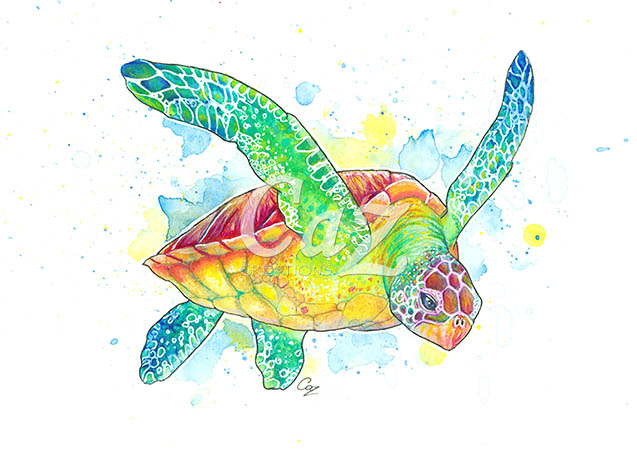 637x451 Green Turtle Watercolour Painting By Cazziart - Turtle Watercolor Paintings