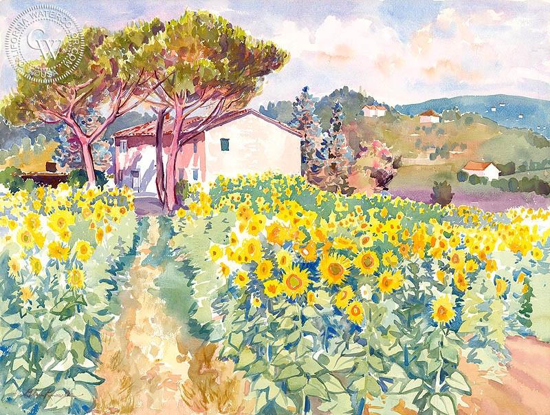 800x603 Sunflowers In Tuscany, Art By Glen Knowles California Watercolor - Tuscany Watercolor