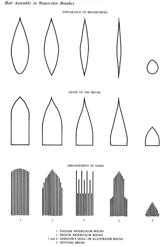 537x800 Types Of Western Brushes True Art Information - Types Of Watercolor Brushes