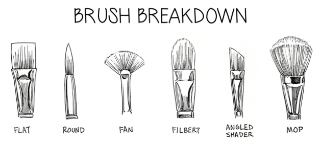 629x282 What Types Of Paint Brushes Are Right For You - Types Of Watercolor Brushes