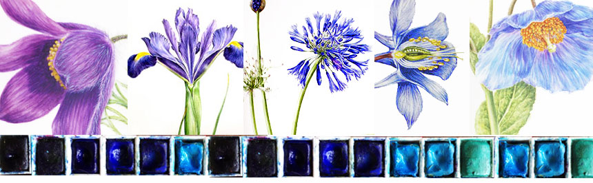 860x266 Dianne Sutherland About Watercolour Paint - Ultramarine Violet Watercolor